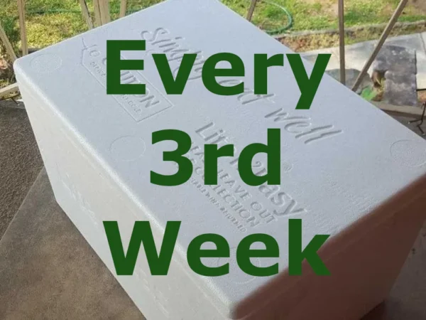 Every 3 Weeks Delivery
